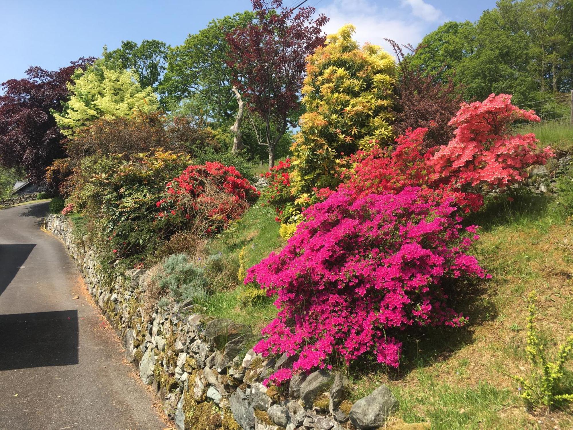 Heulwen Guest House Dolgellau Bagian luar foto