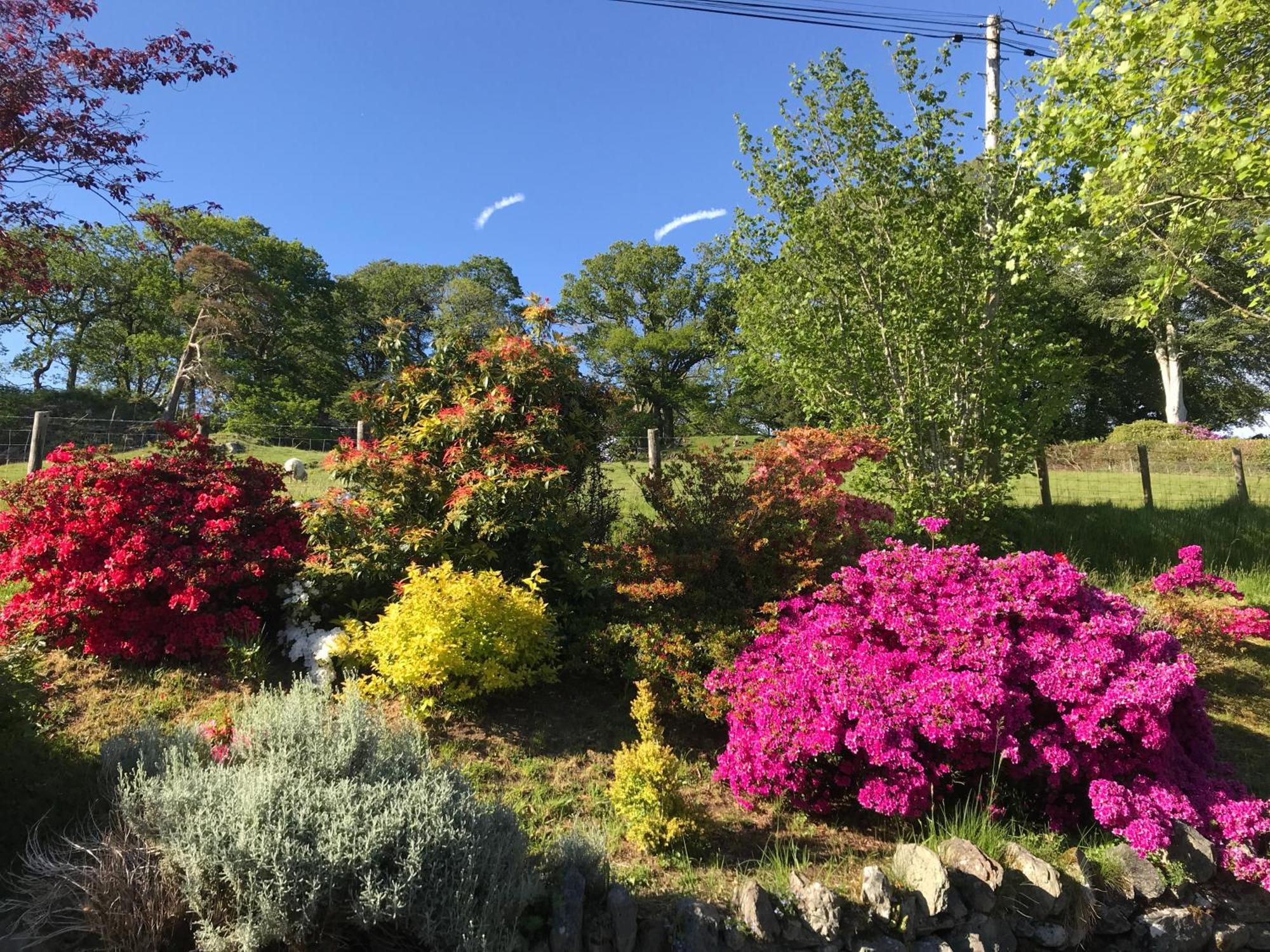 Heulwen Guest House Dolgellau Bagian luar foto