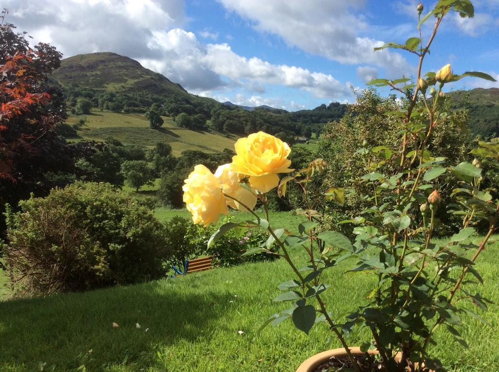 Heulwen Guest House Dolgellau Bagian luar foto