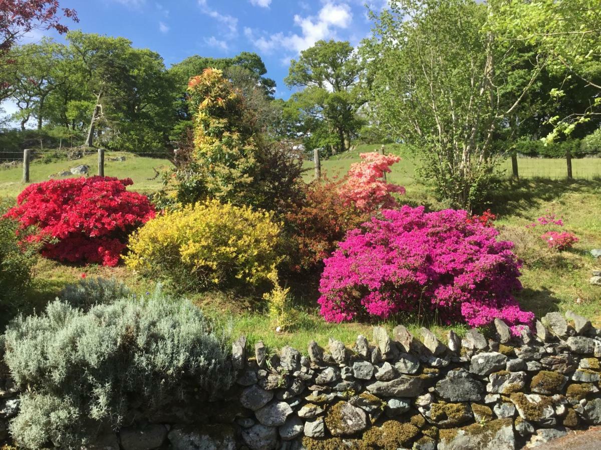Heulwen Guest House Dolgellau Bagian luar foto